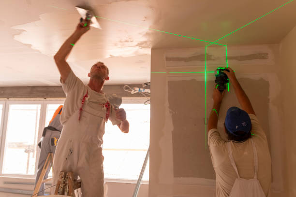 Professional Dry wall and painting in Lincolnshire, IL